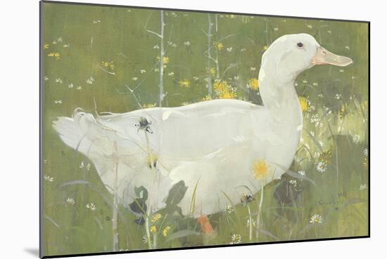 The White Drake-Joseph Crawhall-Mounted Giclee Print