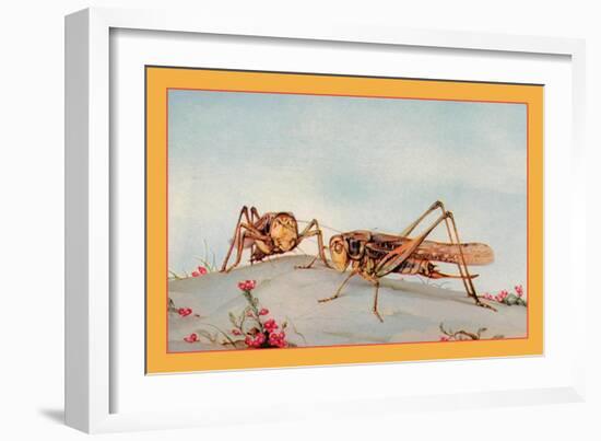 The White-Faced Decticus-Edward Detmold-Framed Art Print