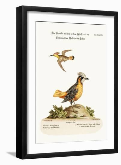 The White-Faced Manakin, and the Ruby-Crested Hummingbird, 1749-73-George Edwards-Framed Giclee Print