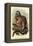 The White-Footed Marmoset-Sir William Jardine-Framed Stretched Canvas
