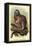 The White-Footed Marmoset-Sir William Jardine-Framed Stretched Canvas