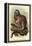 The White-Footed Marmoset-Sir William Jardine-Framed Stretched Canvas