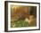 The White Hind, C.1870-Arthur Hughes-Framed Giclee Print