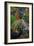 The White Horse, 1898-Paul Gauguin-Framed Giclee Print