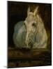 The White Horse "Gazelle"-Henri de Toulouse-Lautrec-Mounted Giclee Print