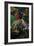 The White Horse-Paul Gauguin-Framed Giclee Print