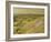 The White Horse-William Nicholson-Framed Giclee Print