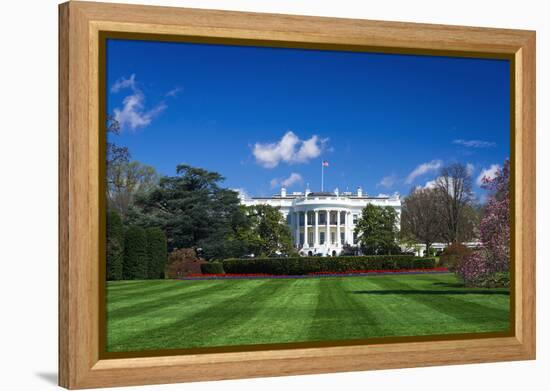 The White House and south lawn, Washington DC, USA-Russ Bishop-Framed Premier Image Canvas