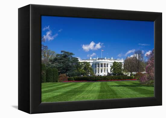 The White House and south lawn, Washington DC, USA-Russ Bishop-Framed Premier Image Canvas