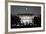 The White House At Night - Washington Dc, United States - Black And White-Orhan-Framed Art Print