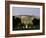 The White House, Washington, D.C., USA-null-Framed Photographic Print