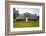 The White House-kropic-Framed Photographic Print