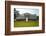 The White House-kropic-Framed Photographic Print