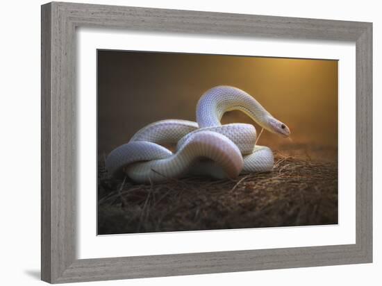 The White Legend-Shikhei Goh-Framed Giclee Print