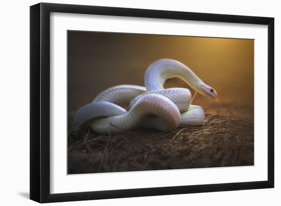 The White Legend-Shikhei Goh-Framed Giclee Print