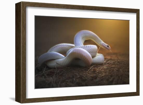 The White Legend-Shikhei Goh-Framed Giclee Print