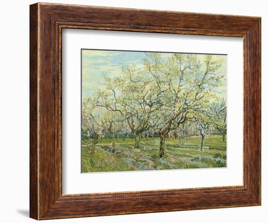 The White Orchard, 1888-Vincent van Gogh-Framed Art Print