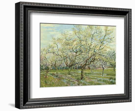 The White Orchard, 1888-Vincent van Gogh-Framed Art Print