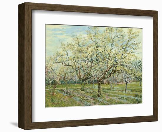 The White Orchard, 1888-Vincent van Gogh-Framed Art Print