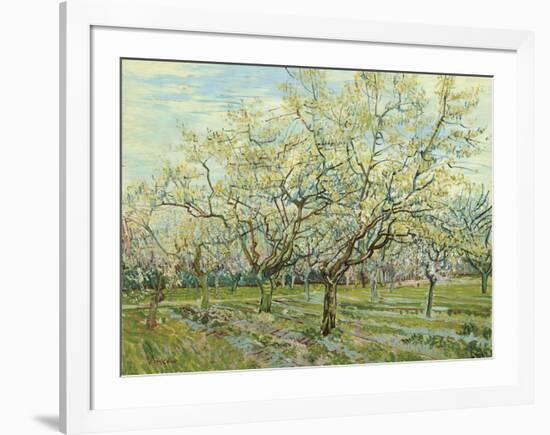 The White Orchard, 1888-Vincent van Gogh-Framed Art Print