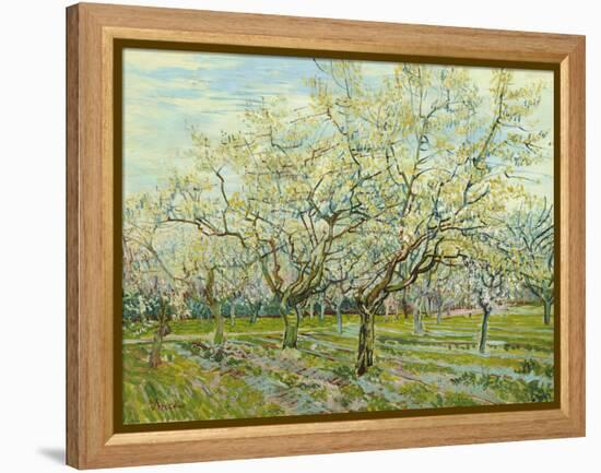 The White Orchard, 1888-Vincent van Gogh-Framed Premier Image Canvas