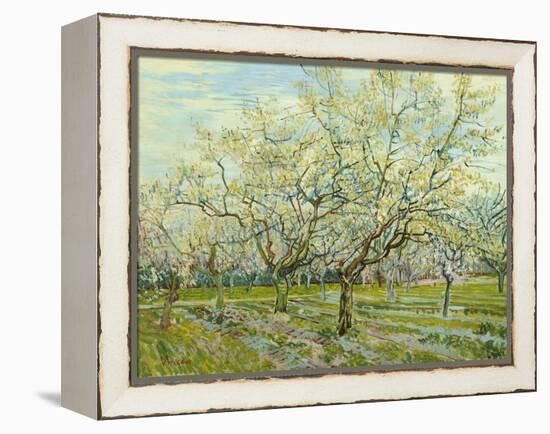 The White Orchard, 1888-Vincent van Gogh-Framed Premier Image Canvas