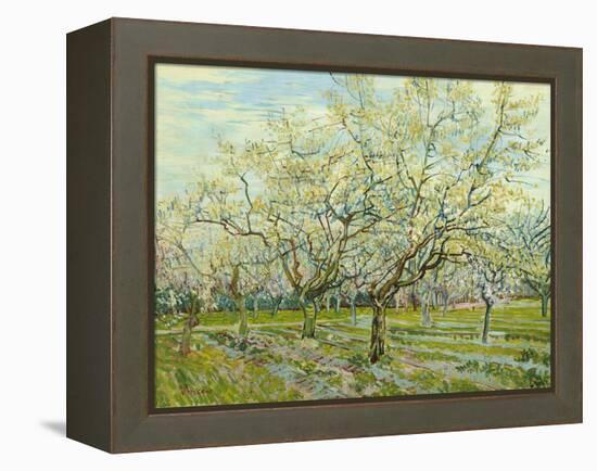 The White Orchard, 1888-Vincent van Gogh-Framed Premier Image Canvas