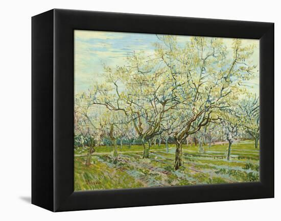 The White Orchard, 1888-Vincent van Gogh-Framed Premier Image Canvas