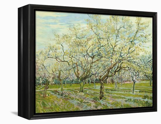 The White Orchard, 1888-Vincent van Gogh-Framed Premier Image Canvas