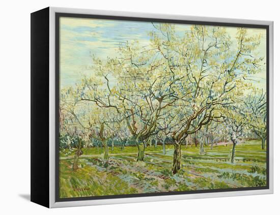 The White Orchard, 1888-Vincent van Gogh-Framed Premier Image Canvas