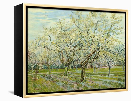 The White Orchard, 1888-Vincent van Gogh-Framed Premier Image Canvas