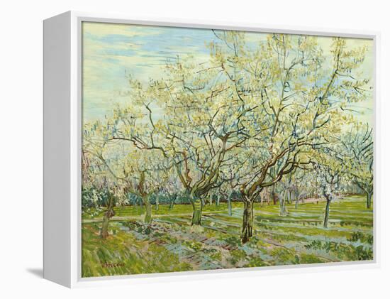 The White Orchard, 1888-Vincent van Gogh-Framed Premier Image Canvas