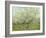 The White Orchard, 1888-Vincent van Gogh-Framed Premium Giclee Print