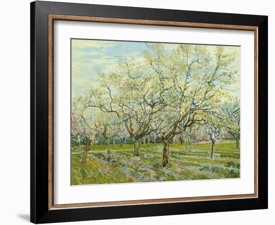 The White Orchard, 1888-Vincent van Gogh-Framed Premium Giclee Print