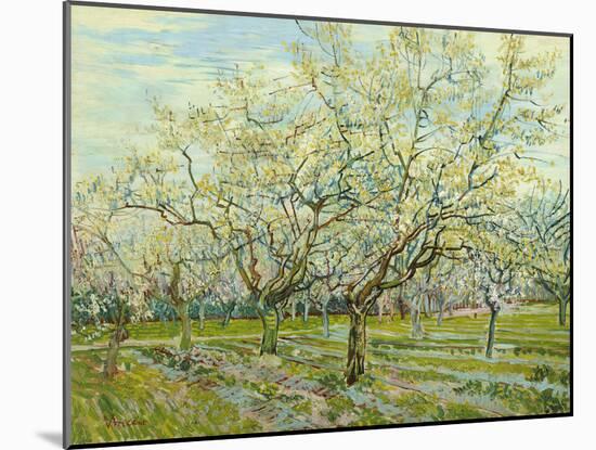 The White Orchard, 1888-Vincent van Gogh-Mounted Premium Giclee Print