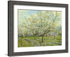 The White Orchard, 1888-Vincent van Gogh-Framed Giclee Print