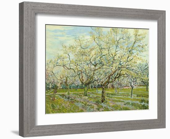 The White Orchard, 1888-Vincent van Gogh-Framed Giclee Print