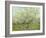 The White Orchard, 1888-Vincent van Gogh-Framed Giclee Print