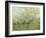 The White Orchard, 1888-Vincent van Gogh-Framed Giclee Print