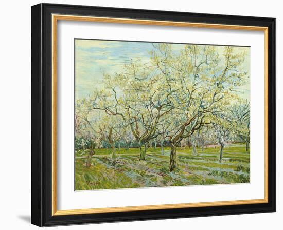 The White Orchard, 1888-Vincent van Gogh-Framed Giclee Print