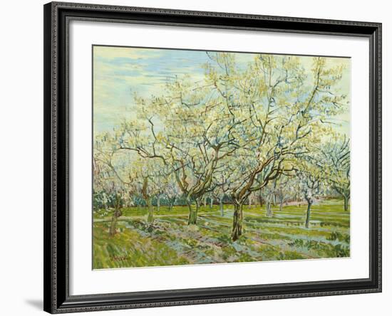 The White Orchard, 1888-Vincent van Gogh-Framed Giclee Print