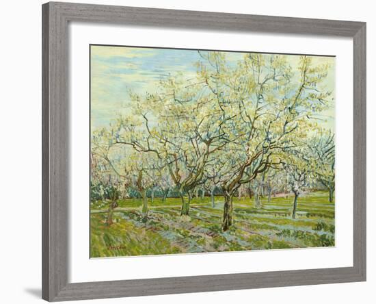 The White Orchard, 1888-Vincent van Gogh-Framed Giclee Print