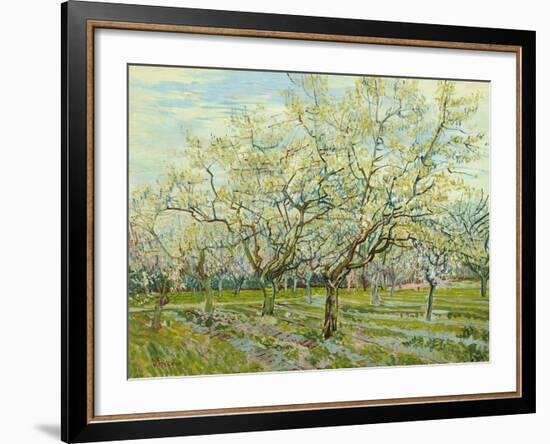 The White Orchard, 1888-Vincent van Gogh-Framed Giclee Print