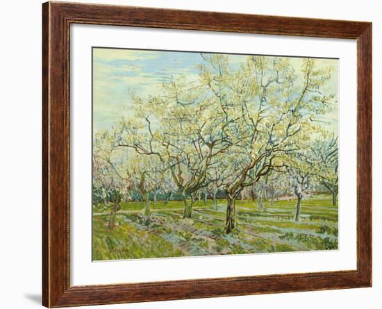 The White Orchard, 1888-Vincent van Gogh-Framed Giclee Print