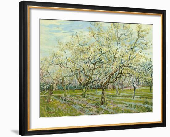 The White Orchard, 1888-Vincent van Gogh-Framed Giclee Print