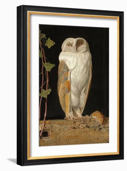 The White Owl, 1856-William J. Webbe-Framed Giclee Print