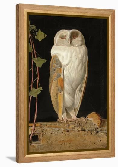 The White Owl, 1856-William J. Webbe-Framed Premier Image Canvas