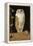 The White Owl, 1856-William J. Webbe-Framed Premier Image Canvas