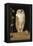 The White Owl, 1856-William J. Webbe-Framed Premier Image Canvas