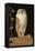 The White Owl, 1856-William J. Webbe-Framed Premier Image Canvas